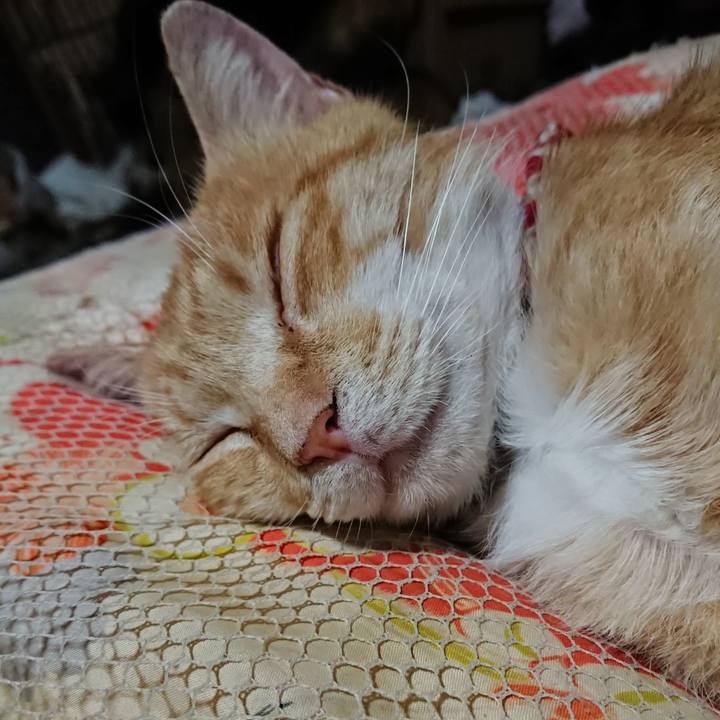 8d7ae054 80b8 4096 8e1e d6ae6951659c 1559997424587