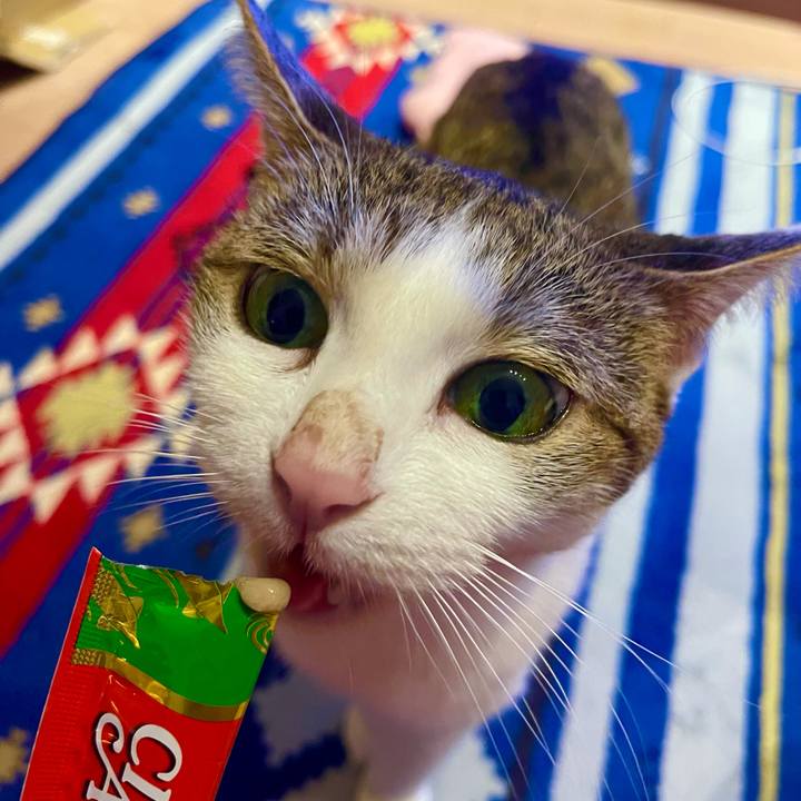 8d7b4624 0c13 4763 860f b3e76cf32d3f 1630919831034