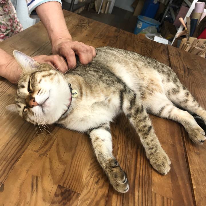 8d7b4b00 01b2 436d 83a4 d032fe0ef14b 1617624466894