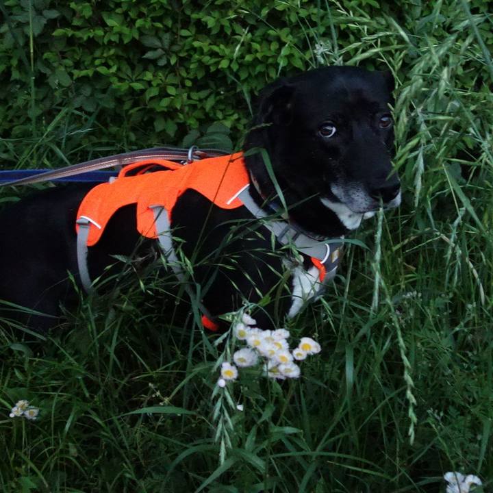 8d7b702d 30ef 459a a598 1d220c2f6b51 1714301163583