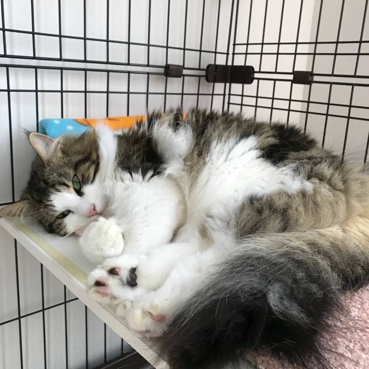 8d7b7b6b 57ea 4793 ba5b e1b241e4e451 1531264024107