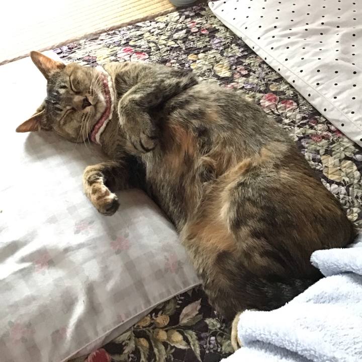 8d7b8846 4da4 4bcf b442 47a5788cd808 1624084106228