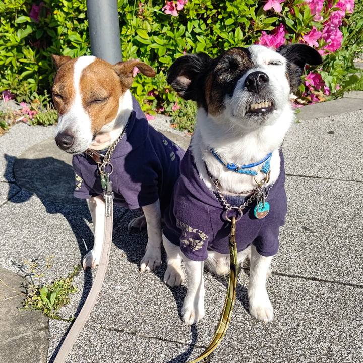 8d7bb252 d2d3 4962 8782 772fb7411dd6 1682548775448