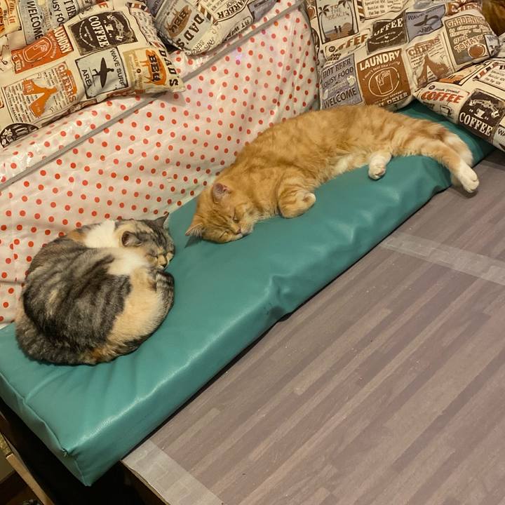 8d7bb867 76b8 434f b8a3 a3e55fb30c49 1639333492084