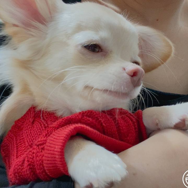 8d7bfa92 aae7 43f2 9f6c 0a0975bbc059 1603019703122