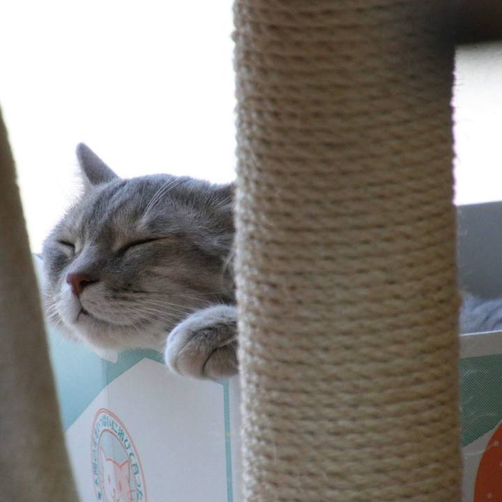 8d7c1137 da1f 4890 9709 d639e9ef32ec 1529561089306