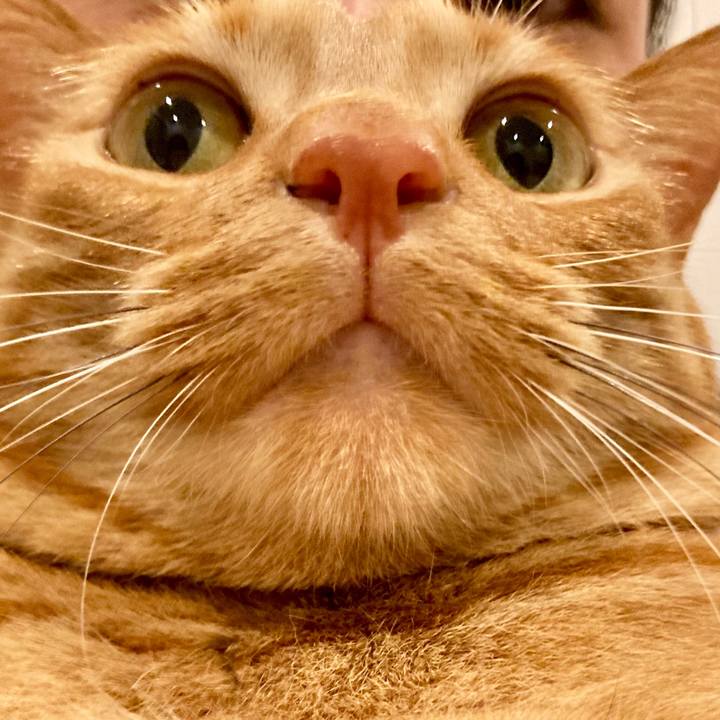 8d7c7d4d da7d 44c8 bb11 7c93abb949b4 1616323811852