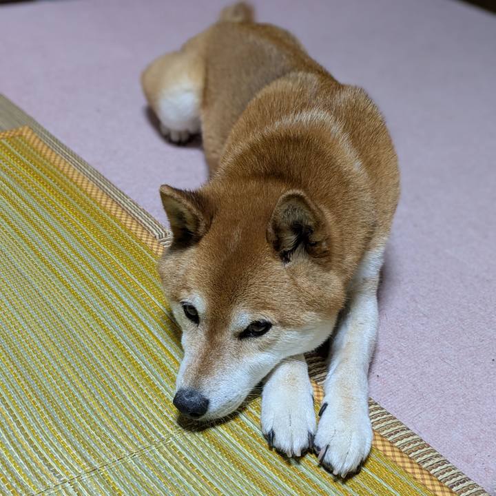 8d7c7fe1 e178 42c6 adcc 3f452462d9d3 1747821386786