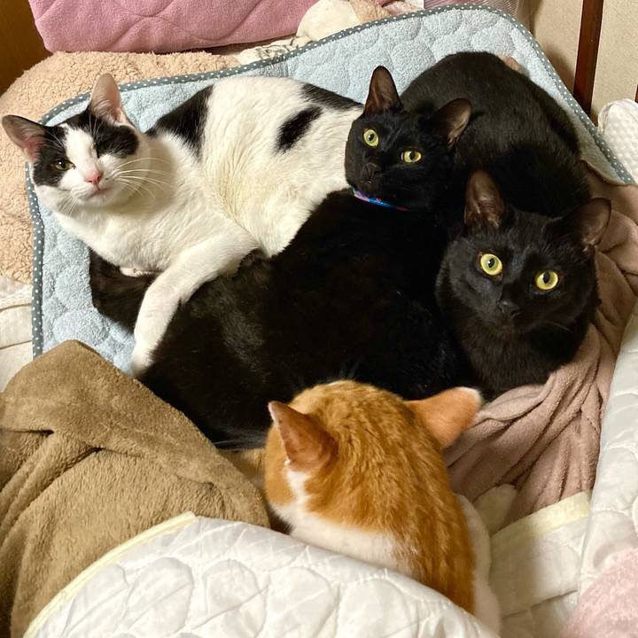 8d7c81c5 2a49 4956 90ed 943b8c250c90 1654504511785