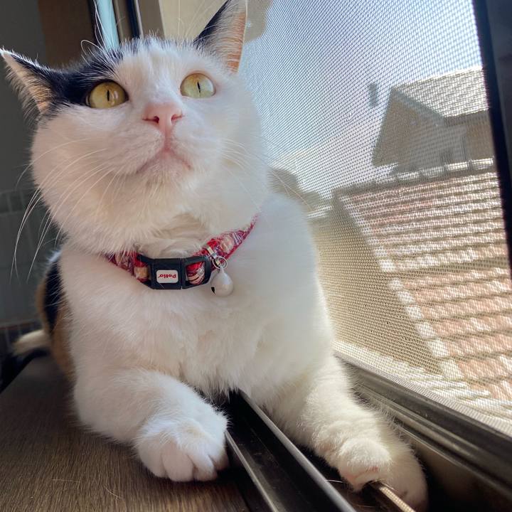 8d7cd06f 9d0a 45c3 b3f5 72e2aa87c544 1649409273138