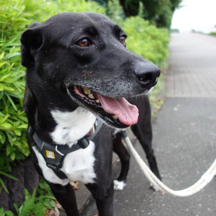 8d7cf26b 26d4 4668 a4c5 9bf407f4ef70 1655291533120