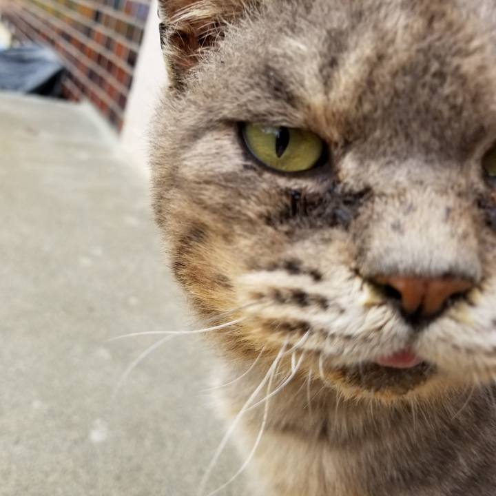 8d7d28fa e30b 4d5c a227 9db7049caba8 1526301403332