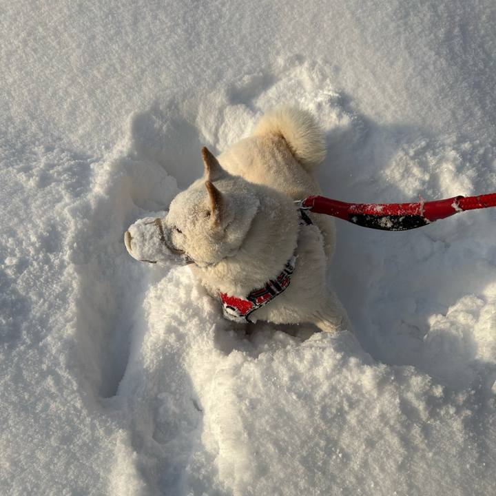 8d7d6695 9e2d 4023 869e d7f6545cfc82 1708815026984