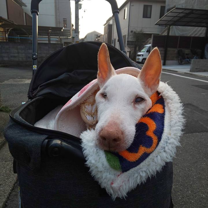 8d7d7d9a 8be6 4872 9f27 d7039ffb1e1c 1612135994241