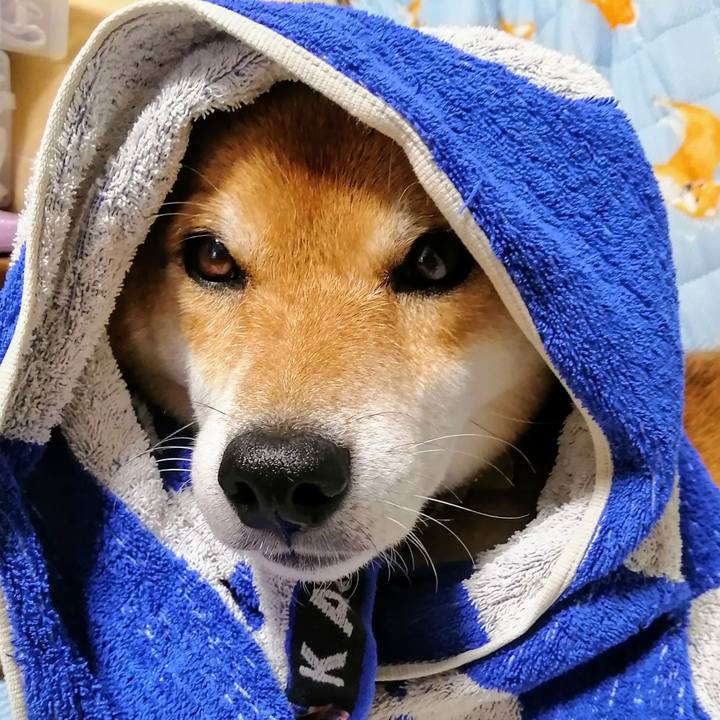 8d7d91ed 205e 433e b45f e52e0fe8abab 1599471081873