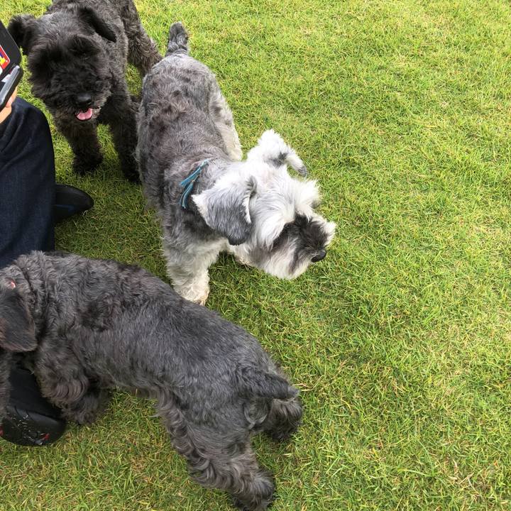 8d7d93e1 1a69 48c0 90b6 7cfb1ecd2155 1561156629449