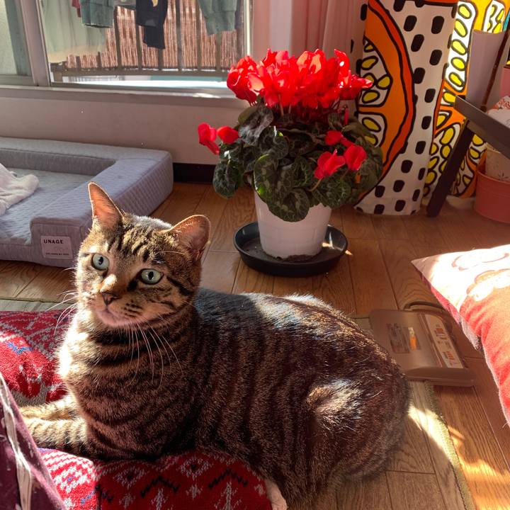 8d7e15dc a05c 486c 9525 4ceee1138047 1575118401943