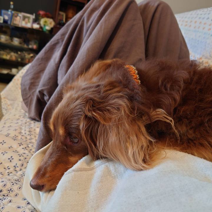 8d7e4627 c573 4607 808f e70dec5eb488 1697348955107