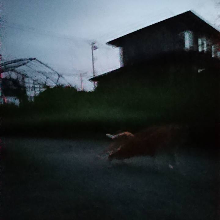 8d7e7a79 6a2f 46c0 b51a 73b0284cf444 1600285850257