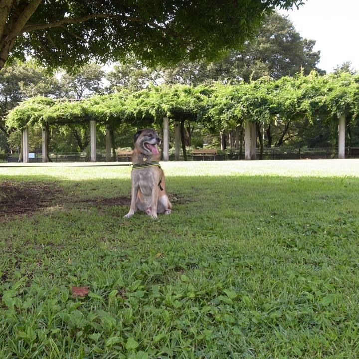 8d7e8f9e 2fcf 46e3 af5f 180de8c9363d 1589159949535