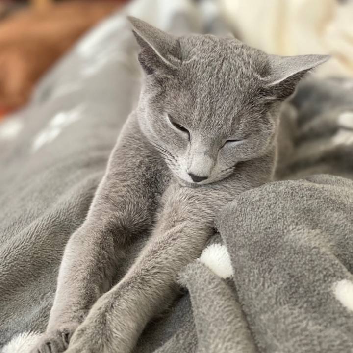 8d7eddfb b7ce 4723 9af7 9ea27f499963 1611115226664