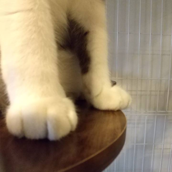 8d7efe4b 9c40 42e3 840c 167f9f4a591c 1600692752471