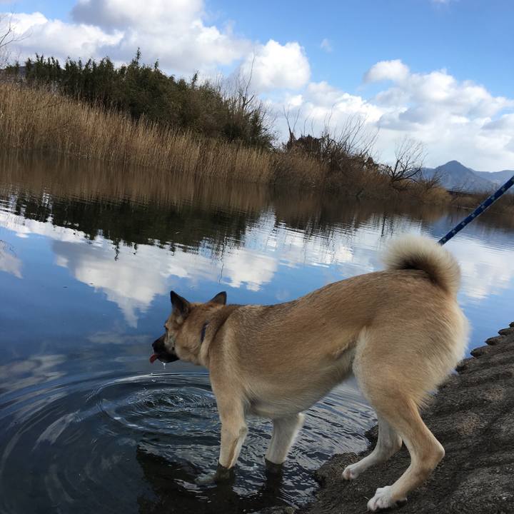 8d7f149c a8ff 4ad4 94a3 8b05132c5bb1 1517715202187