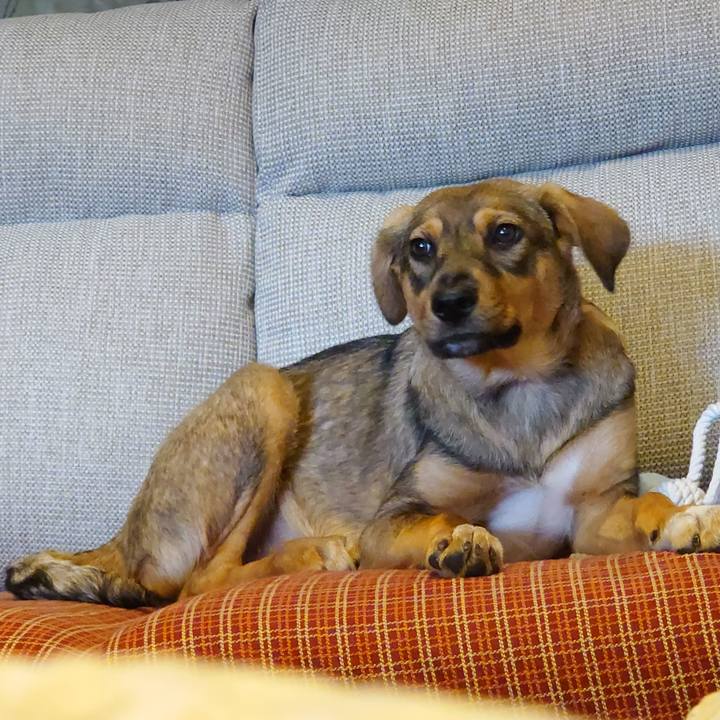 8d7f24ca 4223 4b5d a137 6f07355cc6f5 1685623641808