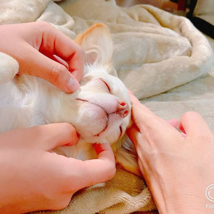 8d7f288c a034 4769 a0c9 909c4e794100 1629170730287