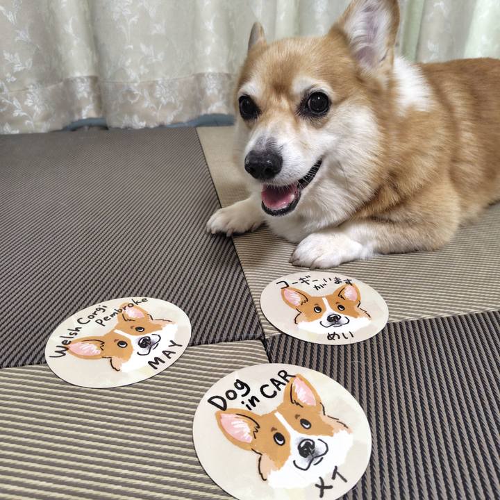 8d7f97c8 5582 4efe 8329 31d51c0ff57c 1758975890597