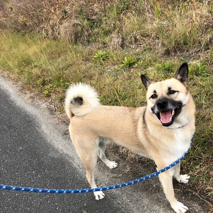 8d7fbe54 4f54 4348 83ba 2ee1b3b518cd 1544347122873