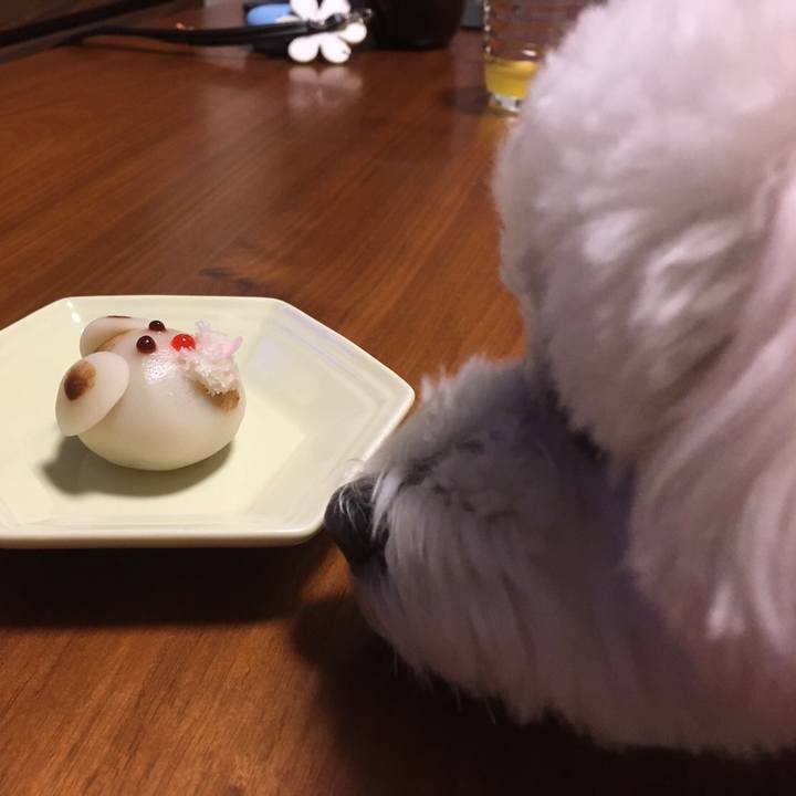 8d7fc0c9 55f4 4652 bca9 859d404ba4c8 1515145968837