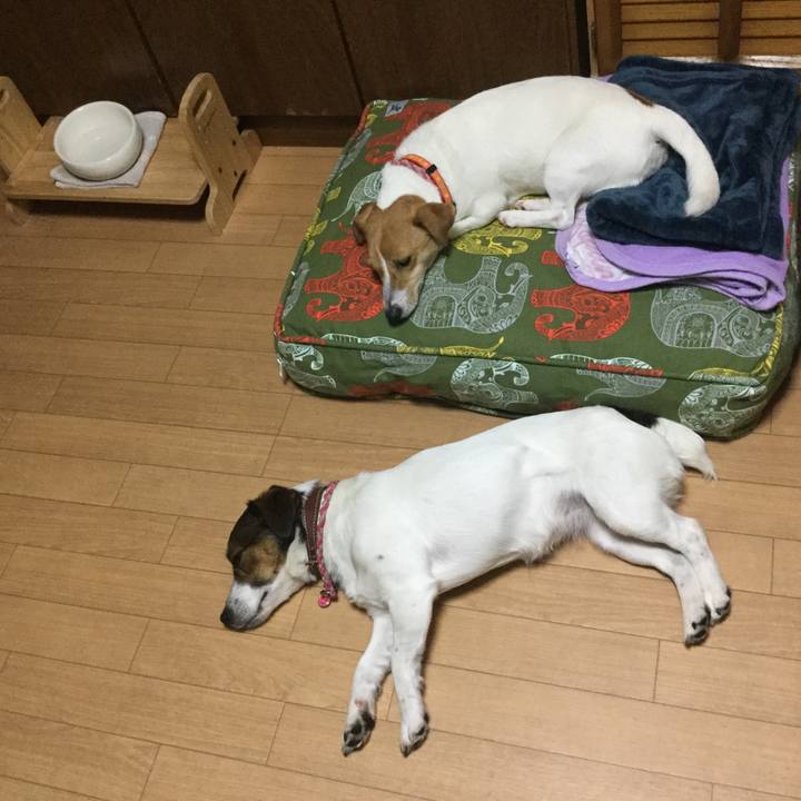 8d7fc6d5 9f95 4f02 a4fa 04f280f2f57a 1526296294226