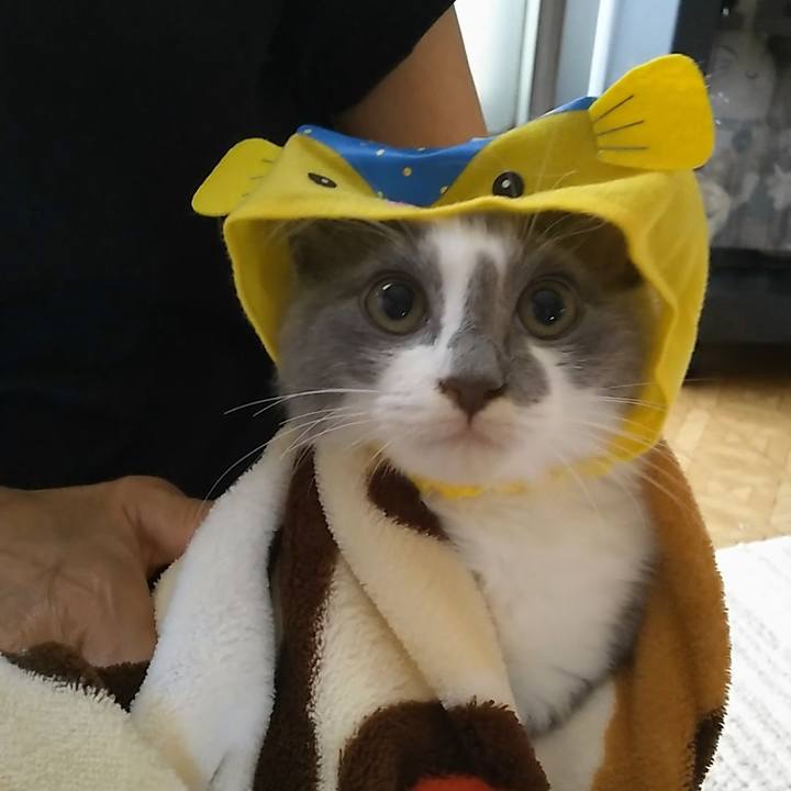 8d7fdfe9 9ca9 4439 aa88 846a26695334 1565577611343