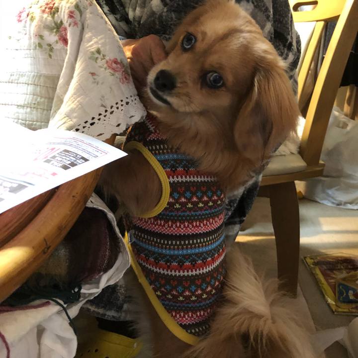 8d800cb6 d333 4d83 9e49 82dde07bb107 1513029453489