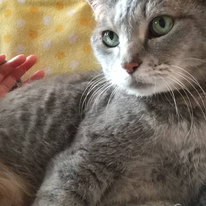 8d801a72 0129 41a0 befb 208788188418 1655426129222