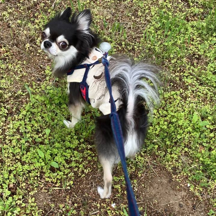 8d803df9 5822 4dfb 82f1 de625e712540 1713714244823