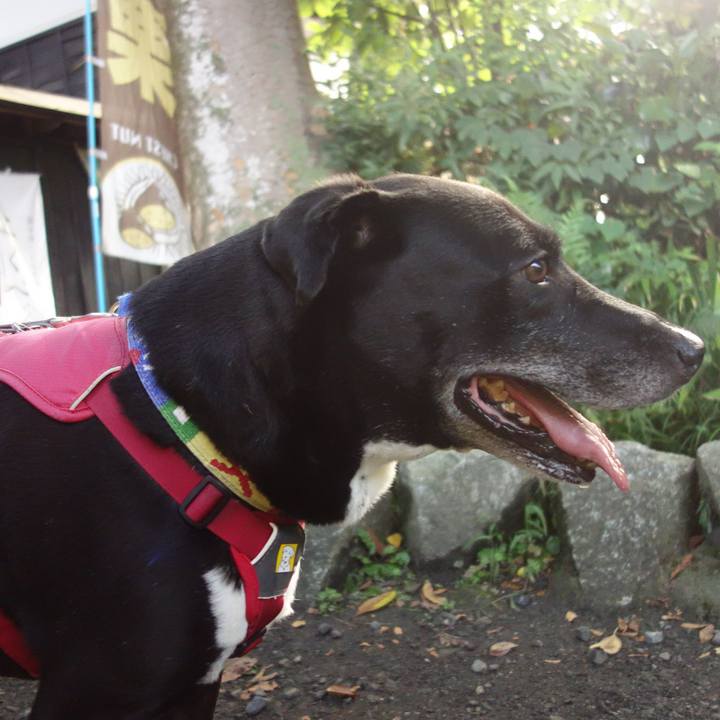 8d805b1e d88c 4a01 b2a5 19e4b9a594f6 1694478888407