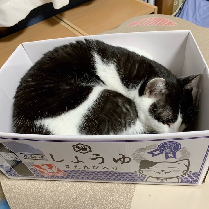 8d8079cd 0256 496f 8cd2 d7afa7b2366b 1540433680624