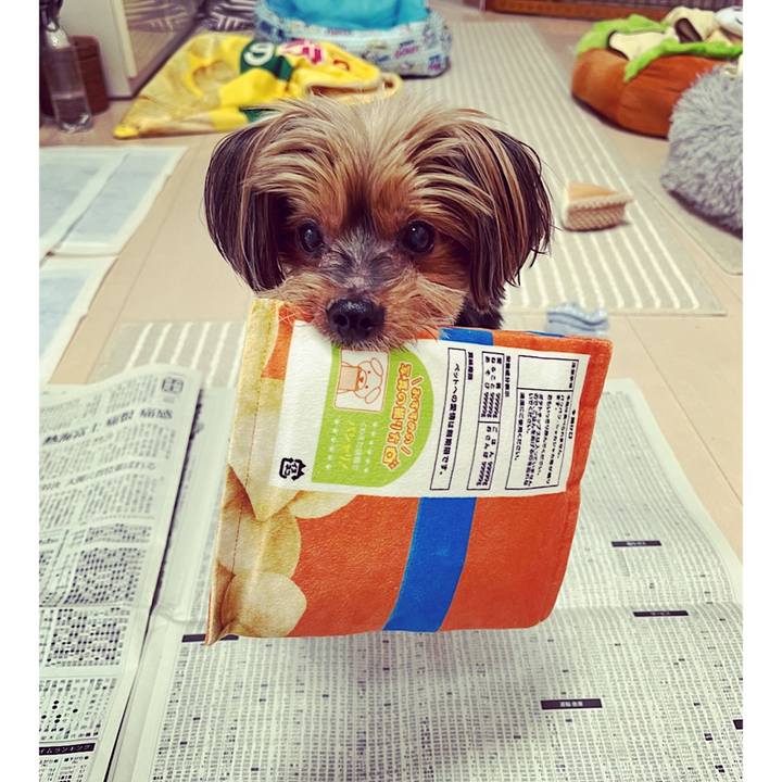 8d809c81 9cc5 4d81 80c5 5009c5a770cd 1695509663771