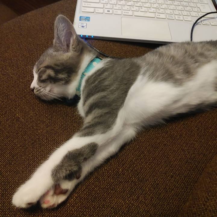 8d80b205 0f04 4130 96cc f1245f815e16 1564661436046