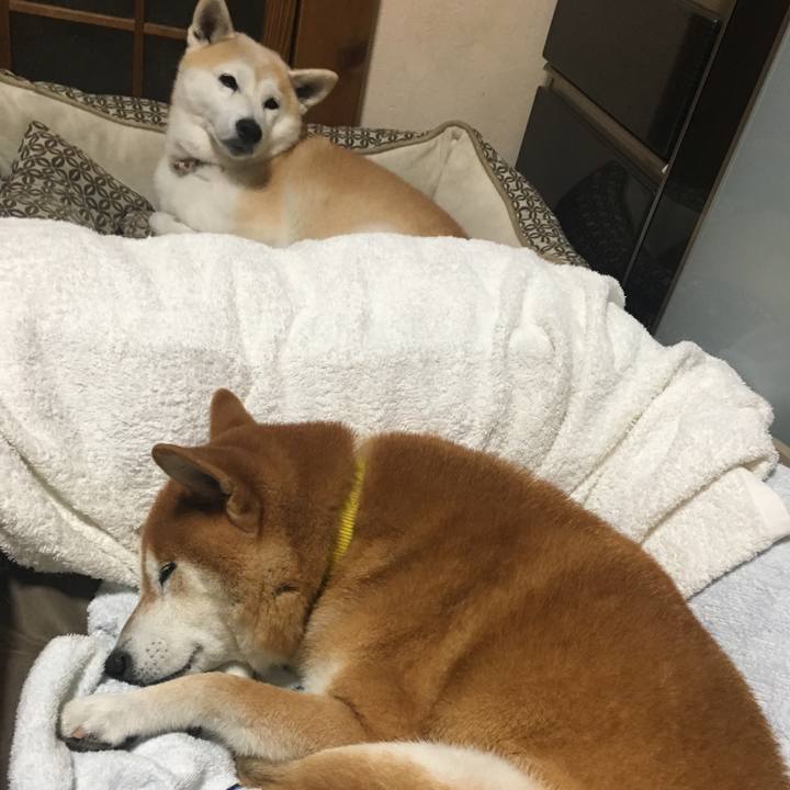 8d80d170 f57a 4e17 8896 588334cef328 1507991047335