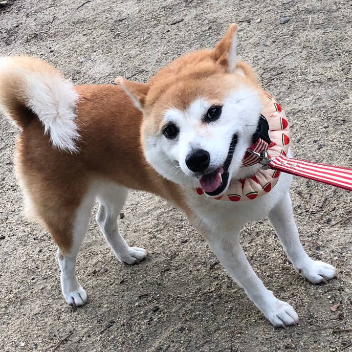 8d80f6f4 39a7 48e5 87c4 8148d7d921a9 1565129600344