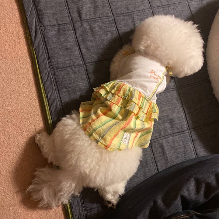 8d80f86e 595e 45c8 9a3e b8aeeb9aa91b 1637240773060