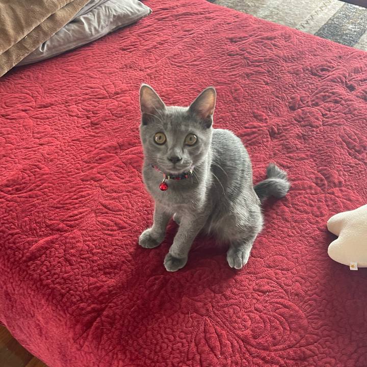 8d810f49 add1 470d a1c7 1ac94fba91c6 1762126154511