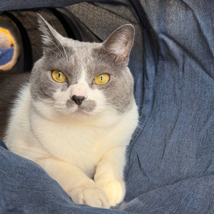 8d811606 e146 4674 944b 5a866ca0719e 1767055803853