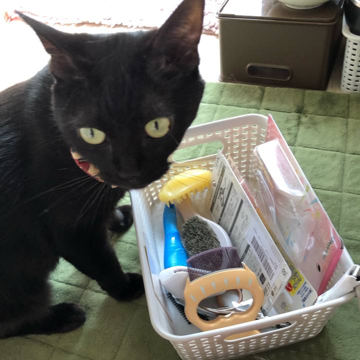 8d812327 f895 42c3 b365 b5ec44fe113a 1598750159653