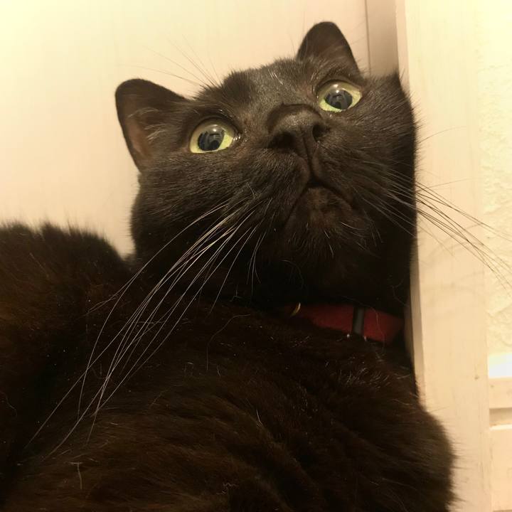 8d8145a8 007a 44a0 876e f7a7c5cd3d9b 1589347729885