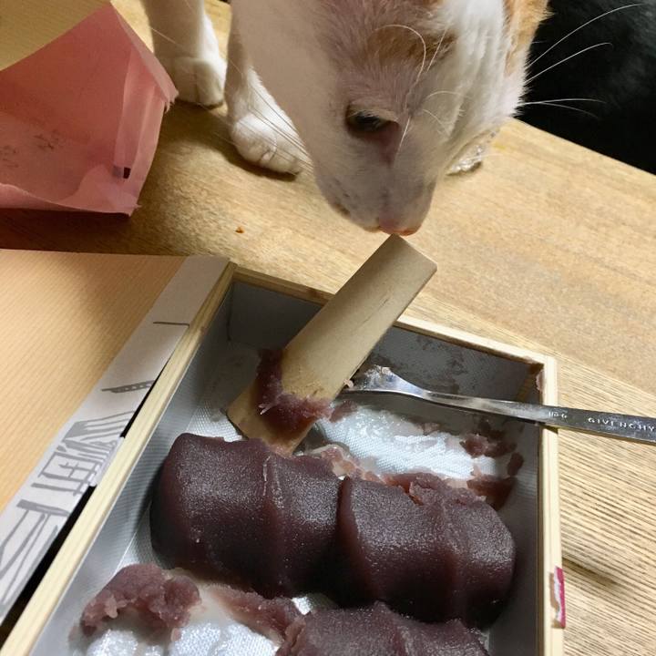 8d81634b d5bd 4446 b883 95e45676b09b 1512486573167