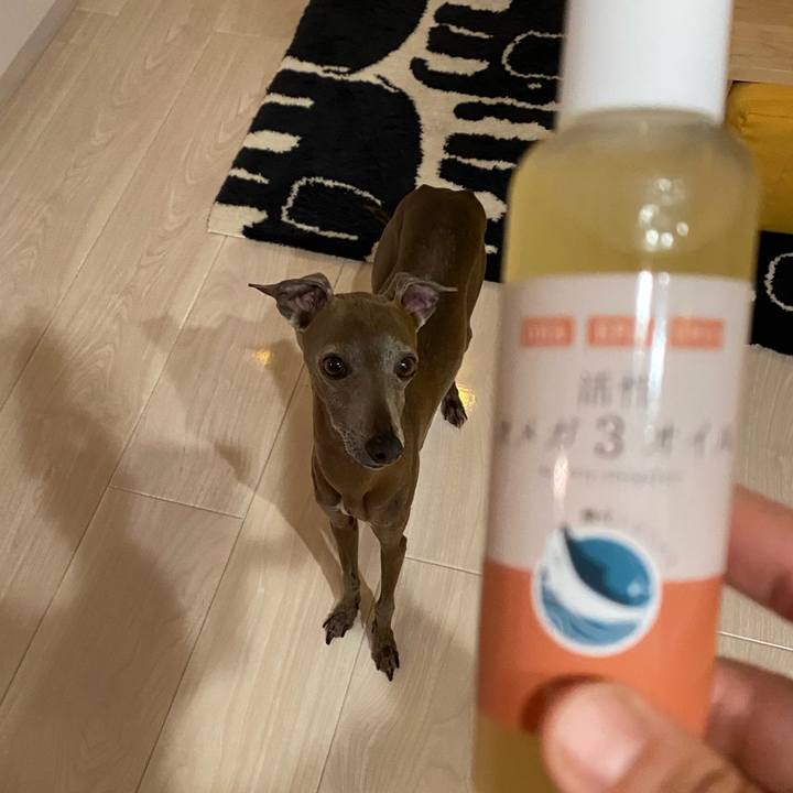 8d817de0 c941 4000 a60a 5b7388a66a58 1765536588731